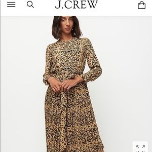Jcrew women’s size 14 leopard print dress.